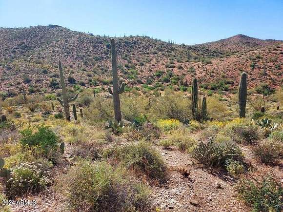 5.05 Acres of Land for Sale in Queen Valley, Arizona