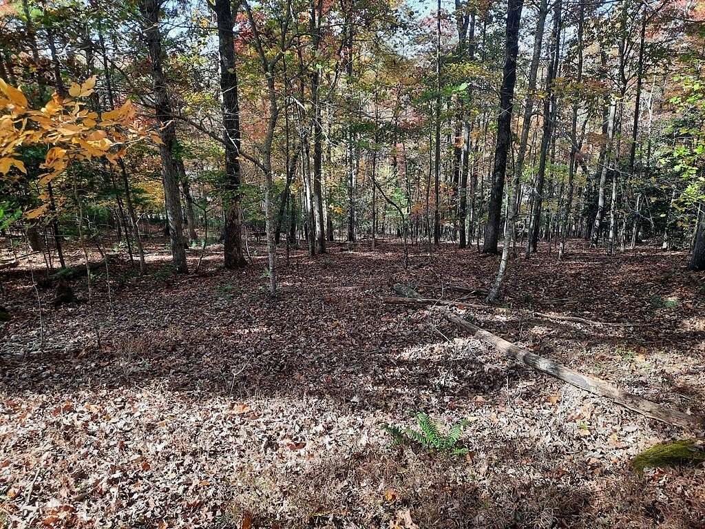 1.02 Acres of Residential Land for Sale in Blairsville, Georgia