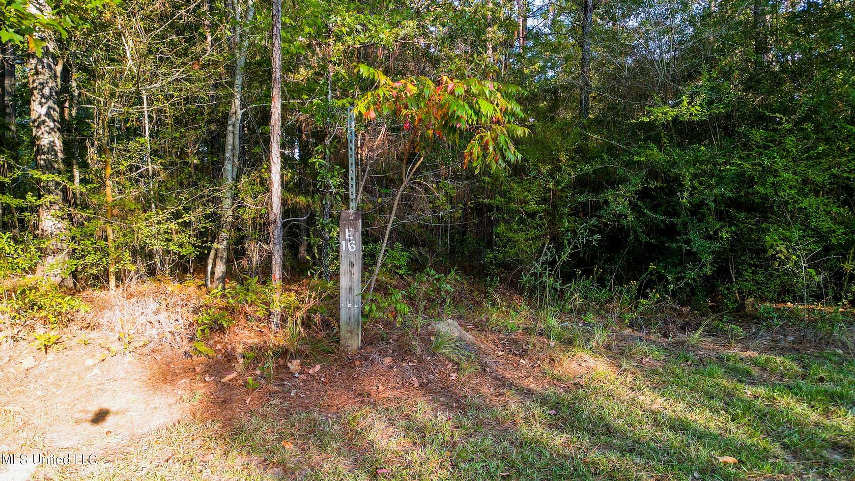 0.5 Acres of Residential Land for Sale in Hattiesburg, Mississippi