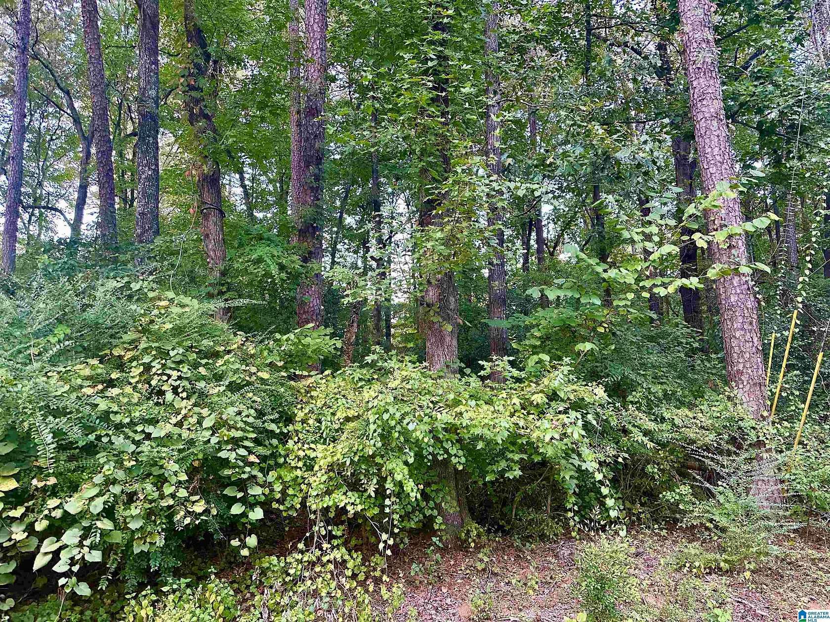 1.31 Acres of Residential Land for Sale in Birmingham, Alabama