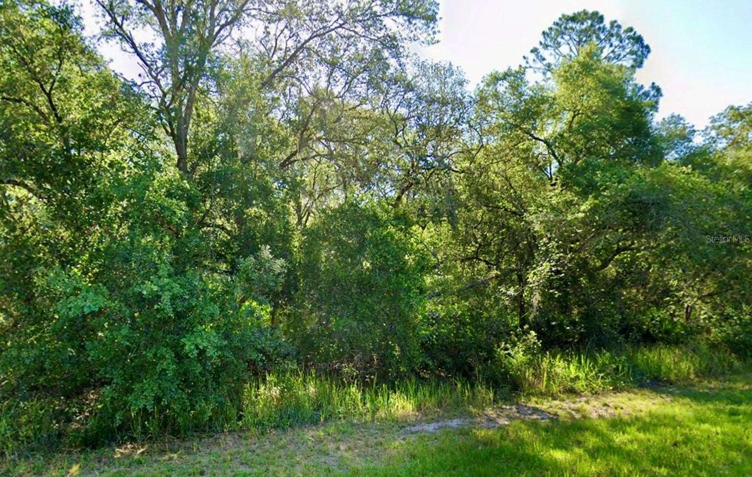 0.26 Acres of Residential Land for Sale in Ocklawaha, Florida