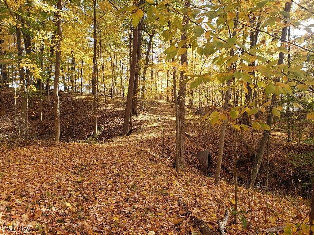 17.54 Acres of Land for Sale in Wellington, Ohio