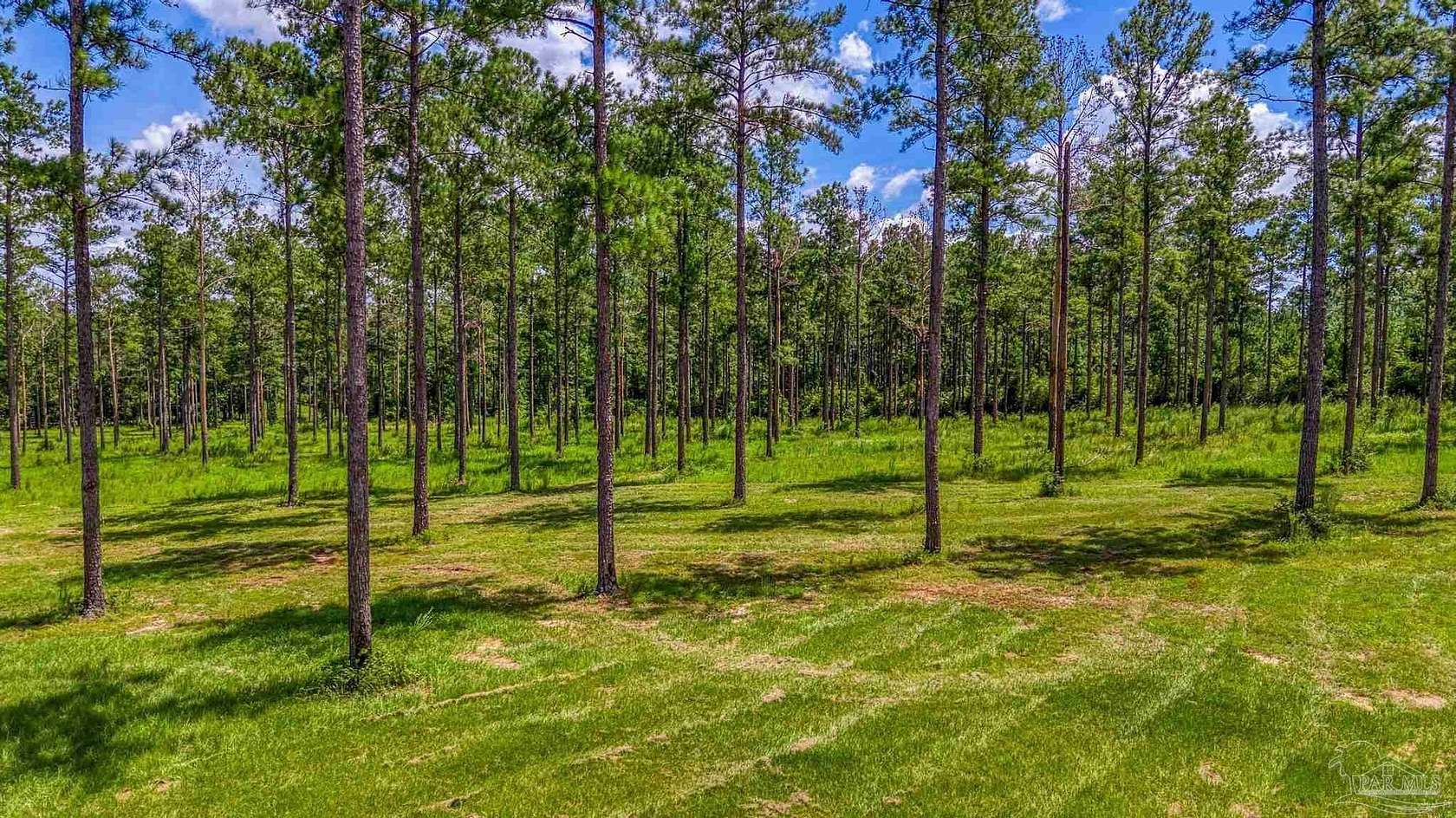 10.168 Acres of Land for Sale in Milton, Florida