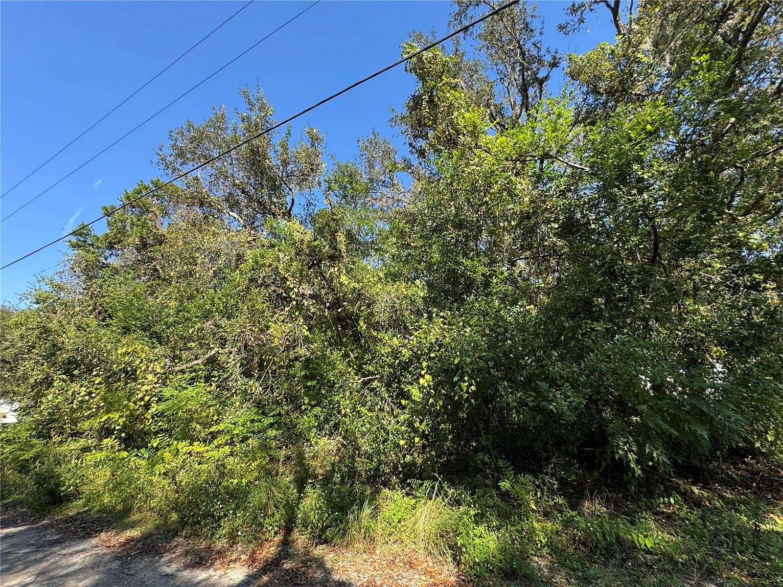 0.27 Acres of Residential Land for Sale in New Port Richey, Florida