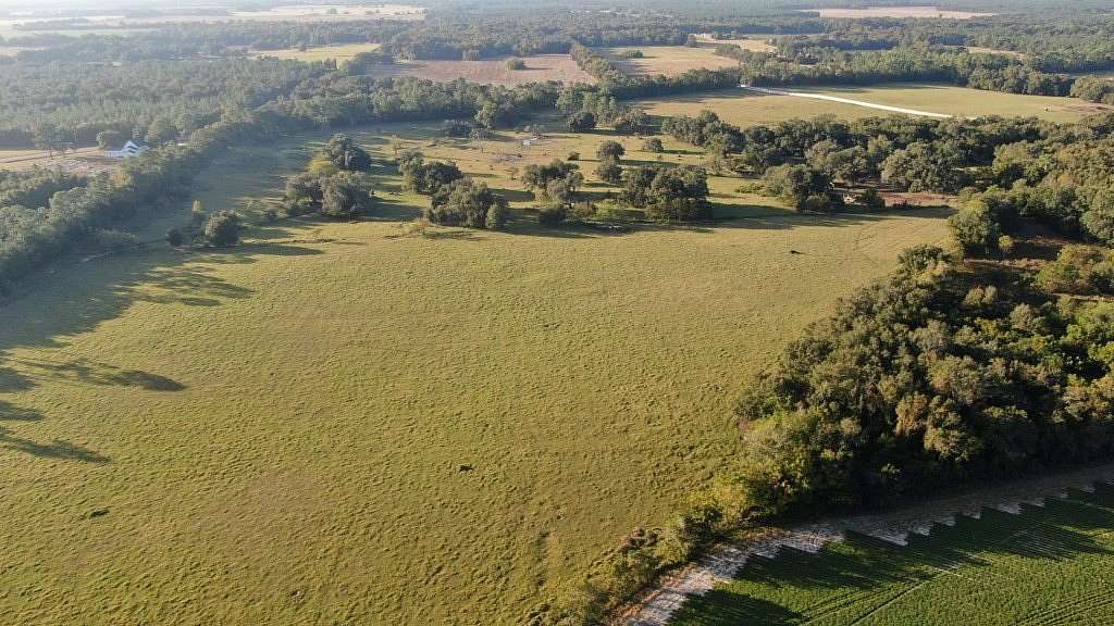 83 Acres of Land for Sale in Colquitt, Georgia