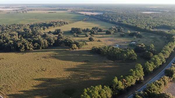 82.3 Acres of Land for Sale in Colquitt, Georgia