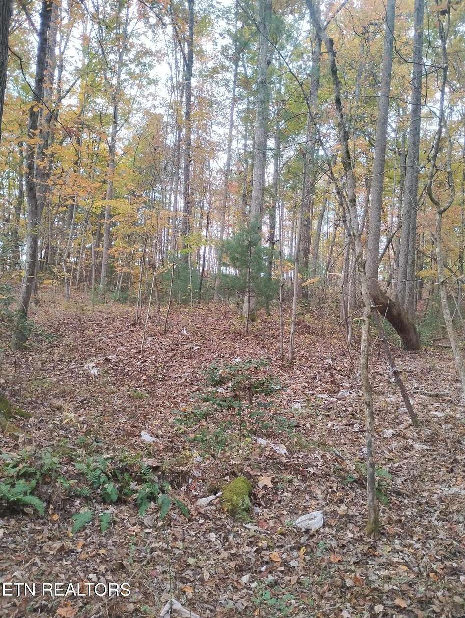 0.75 Acres of Residential Land for Sale in Oneida, Tennessee