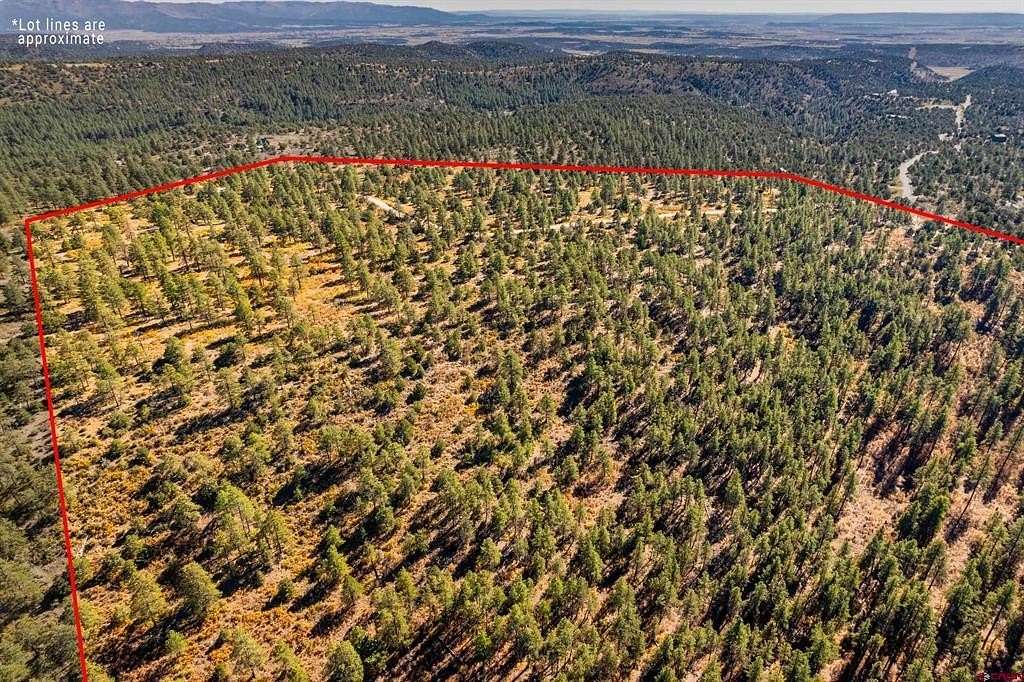 38.8 Acres of Recreational Land for Sale in Bayfield, Colorado