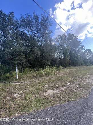 1.25 Acres of Residential Land for Sale in Brooksville, Florida