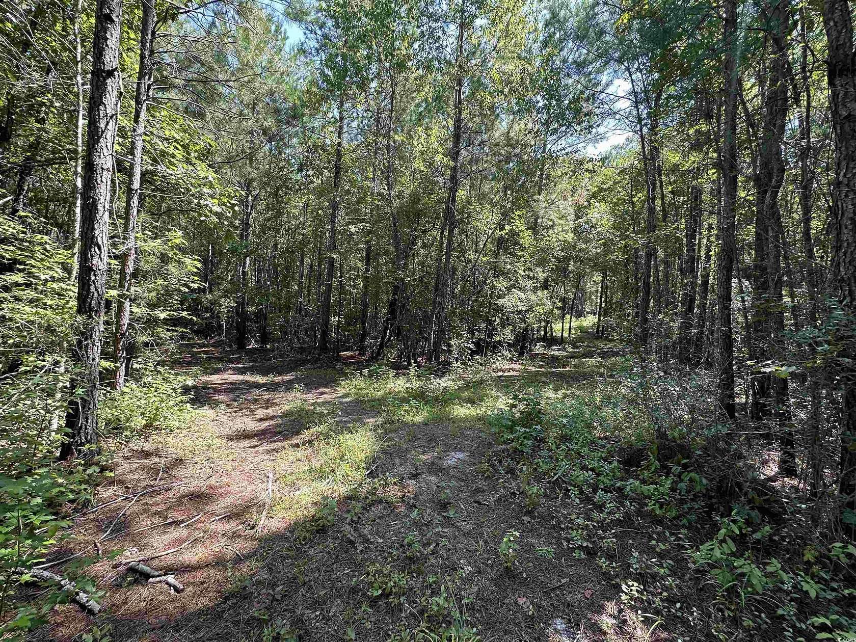 38 Acres of Recreational Land for Sale in Andrews, South Carolina