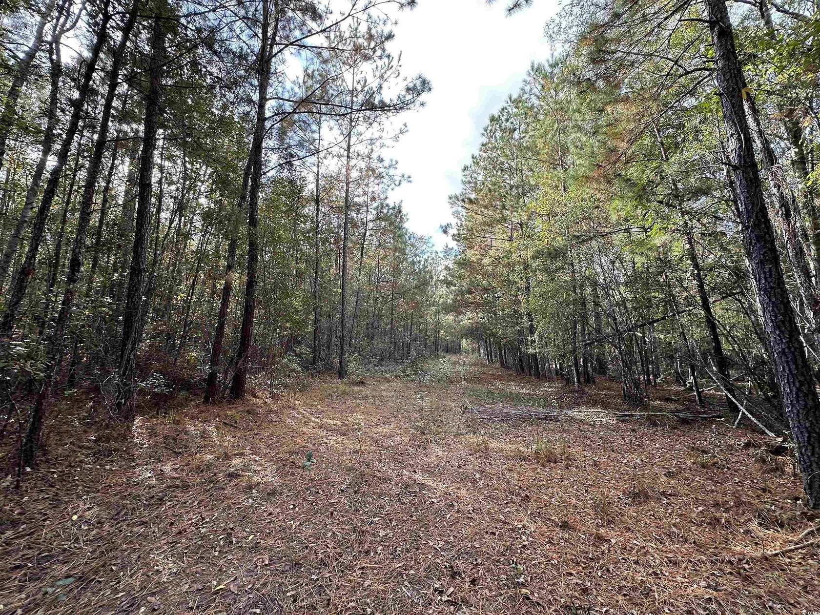 38 Acres of Recreational Land for Sale in Andrews, South Carolina