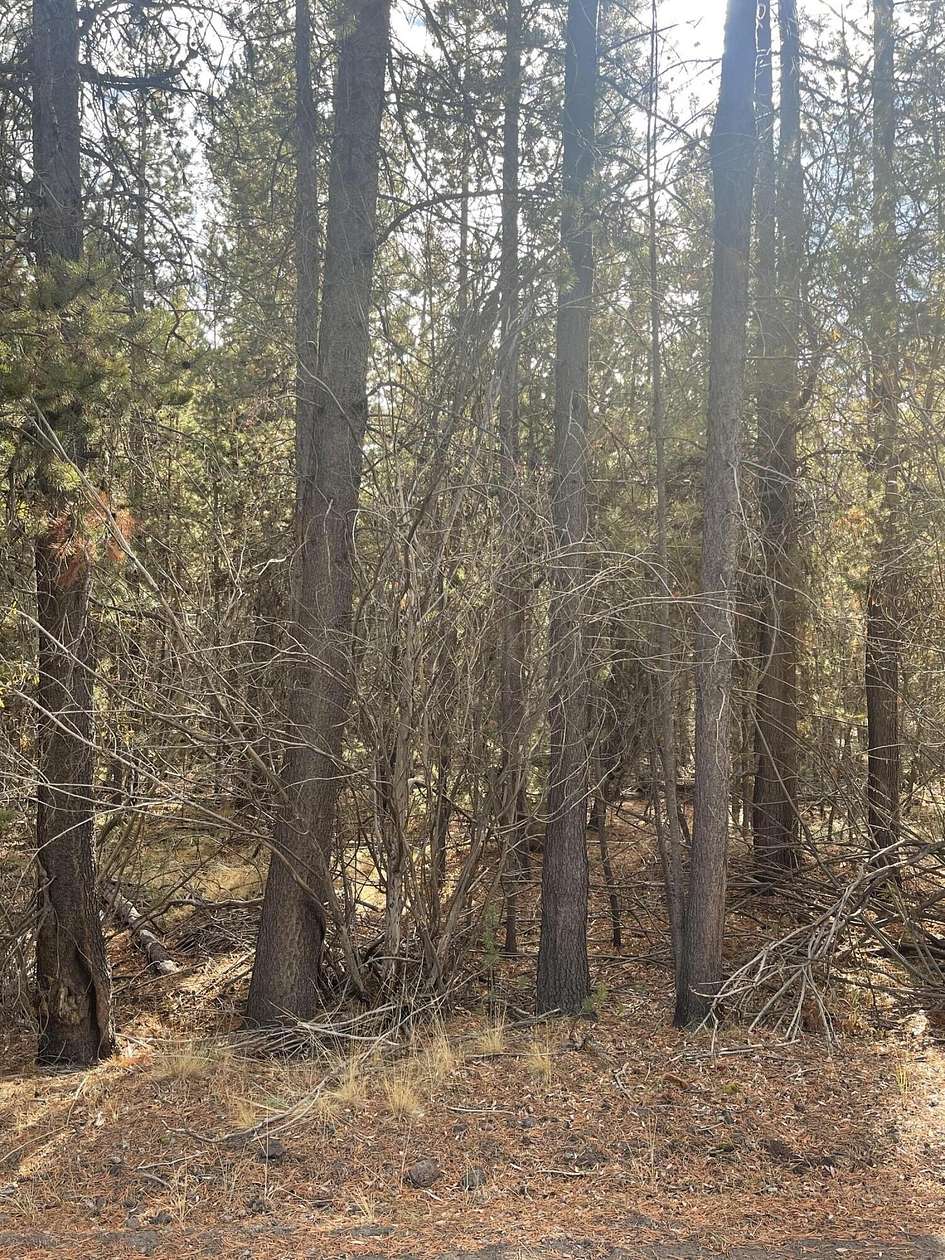 0.52 Acres of Residential Land for Sale in Bend, Oregon