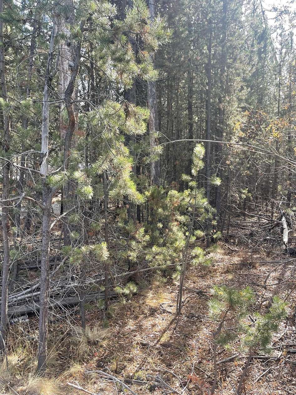0.52 Acres of Residential Land for Sale in Bend, Oregon