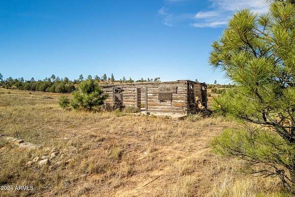 9.45 Acres of Land for Sale in Pinedale, Arizona