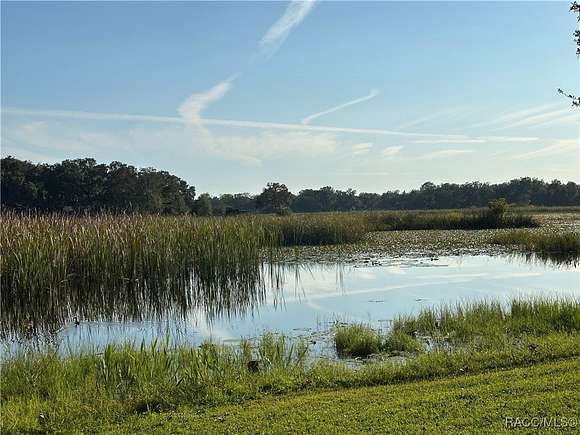 0.3 Acres of Residential Land for Sale in Inverness, Florida