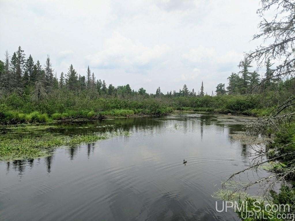 40 Acres of Recreational Land for Sale in Iron River, Michigan