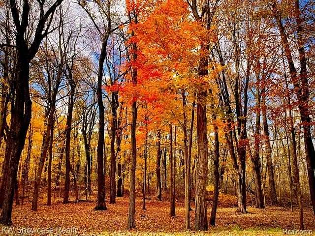 0.7 Acres of Residential Land for Sale in Commerce Township, Michigan