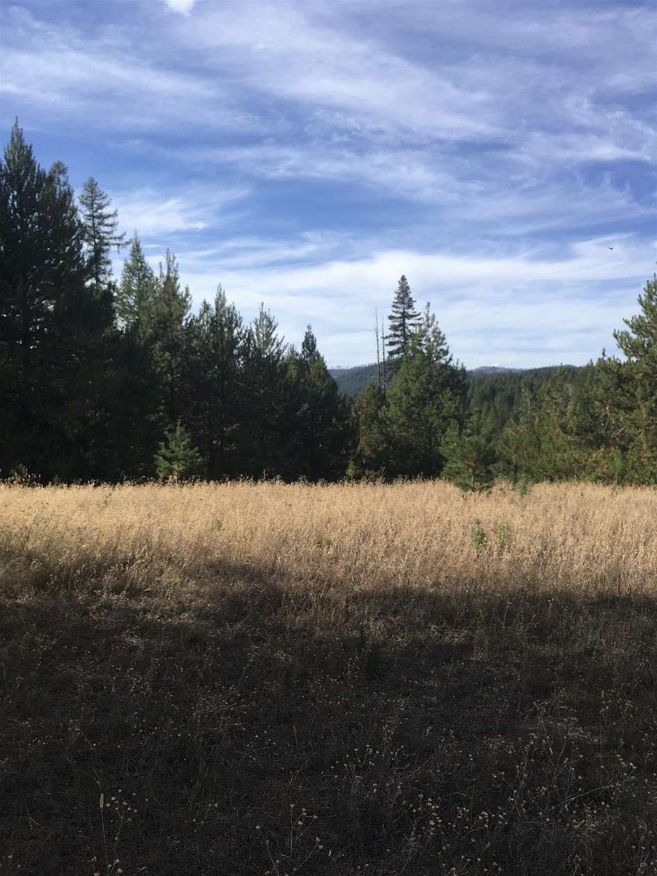 15.15 Acres of Land for Sale in Springdale, Washington