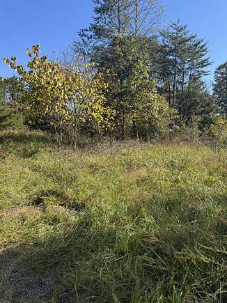 1.17 Acres of Residential Land for Sale in Goodview, Virginia