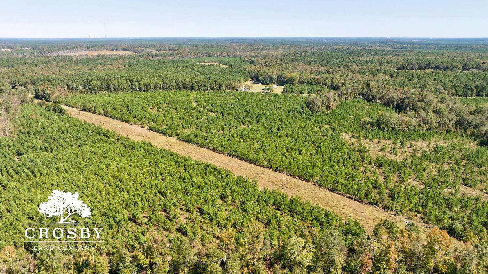 205.16 Acres of Recreational Land & Farm for Sale in Sardis, Georgia