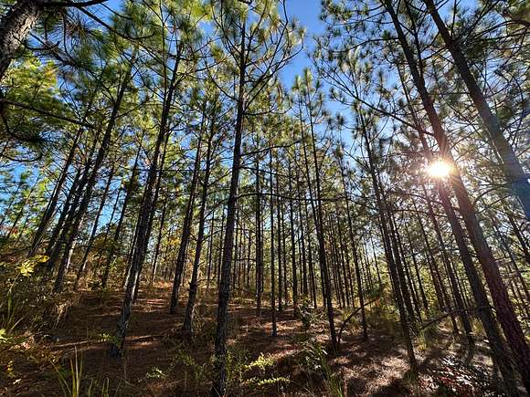 240 Acres of Recreational Land for Sale in Marion, Alabama