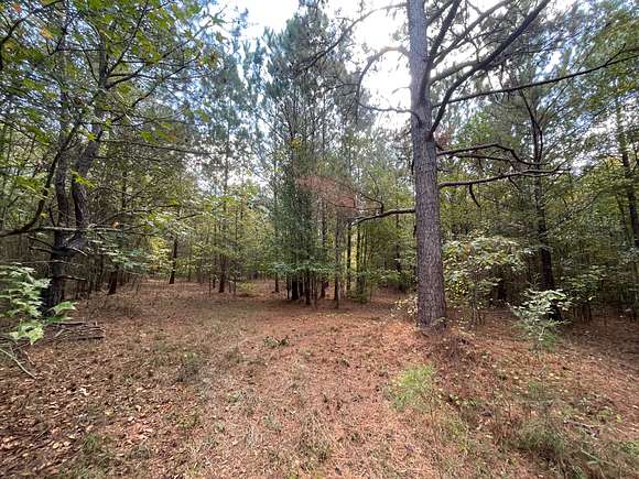 52.58 Acres of Land for Sale in Barnesville, Georgia