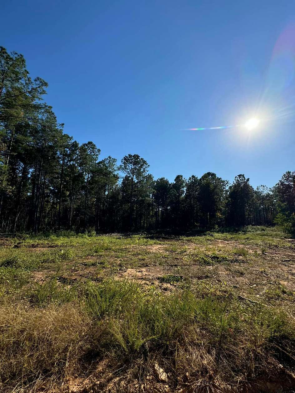 3 Acres of Residential Land for Sale in Salem, Alabama