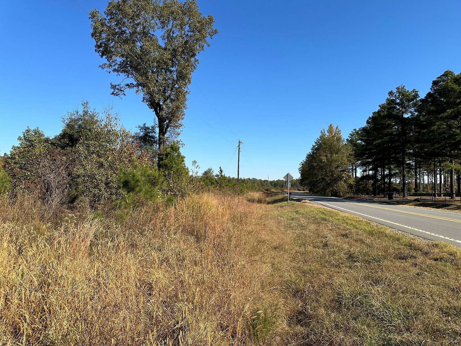 23.25 Acres of Land for Sale in Monticello, Arkansas