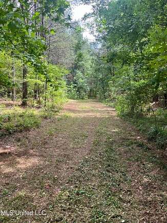 28 Acres of Land for Sale in Jackson, Mississippi