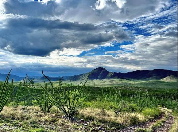 173.15 Acres of Land for Auction in Bisbee, Arizona