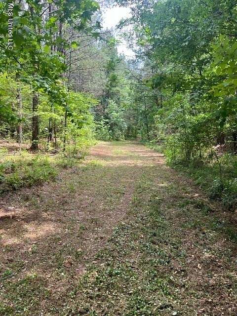 10 Acres of Land for Sale in Jackson, Mississippi