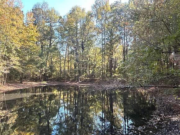 79 Acres of Recreational Land with Home for Sale in Fouke, Arkansas