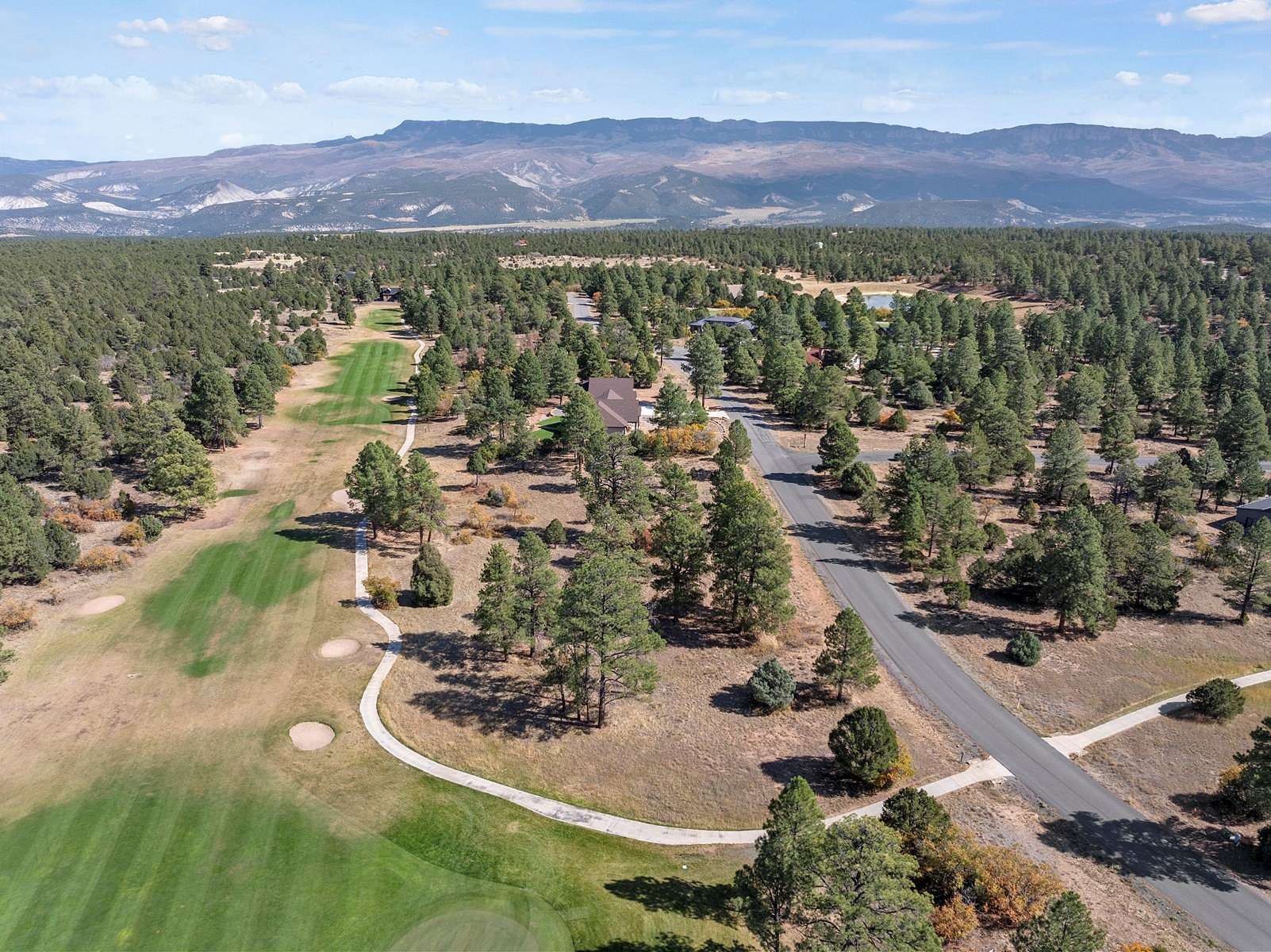 0.95 Acres of Residential Land for Sale in Ridgway, Colorado