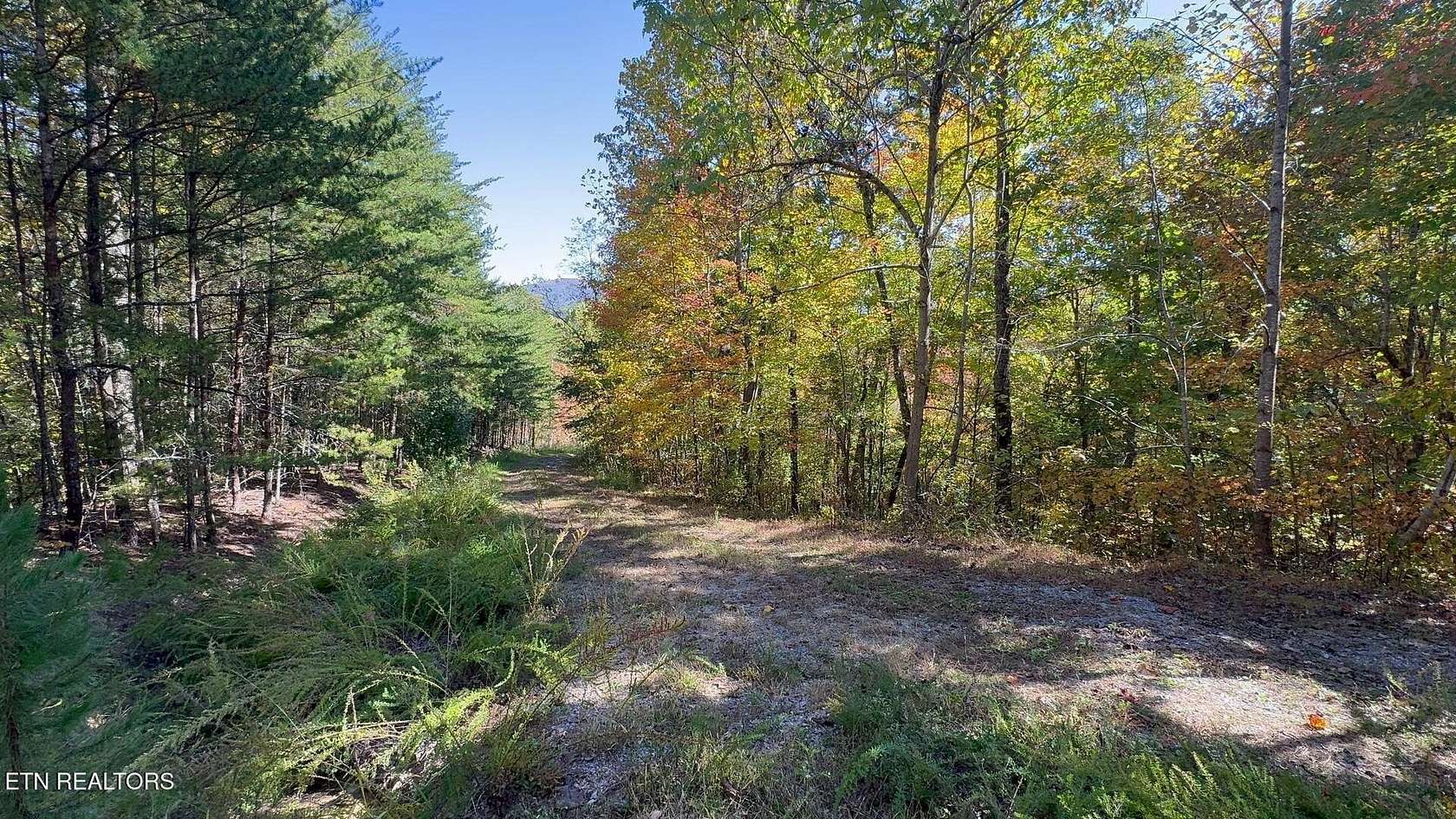 5.72 Acres of Land for Sale in Cosby, Tennessee