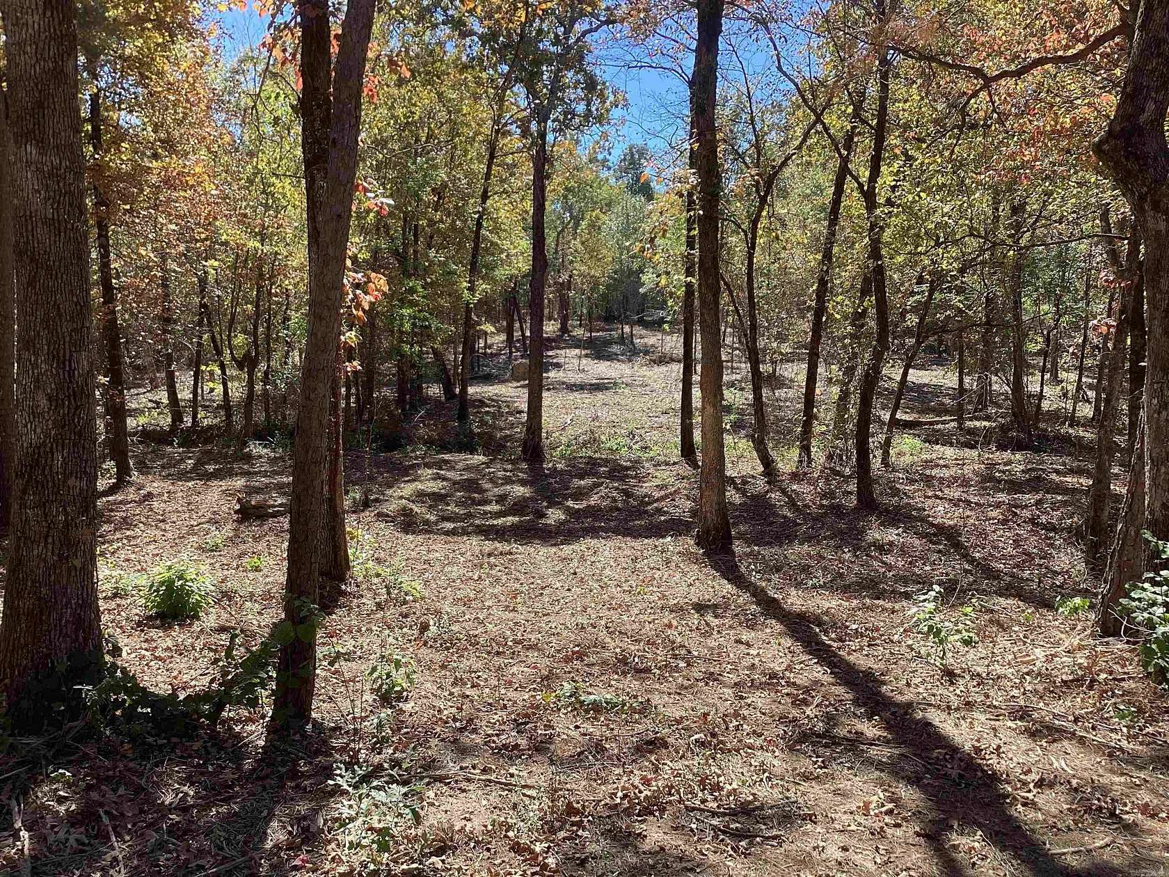 5 Acres of Residential Land for Sale in Mena, Arkansas