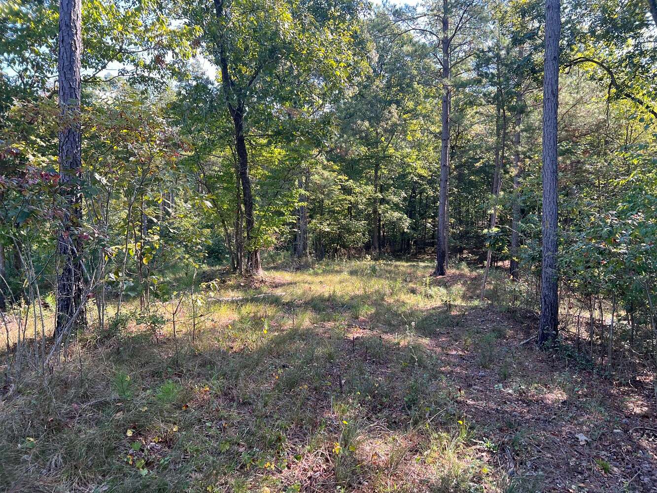 86 Acres of Recreational Land for Sale in Centre, Alabama