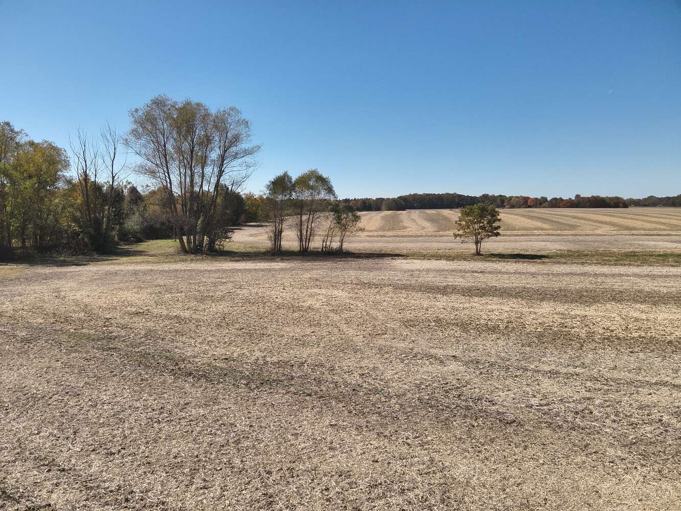 15 Acres of Land for Sale in Hazel Green, Alabama