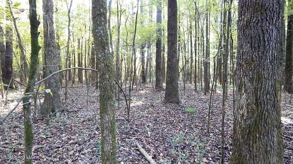 20 Acres of Recreational Land for Sale in Bruce, Mississippi