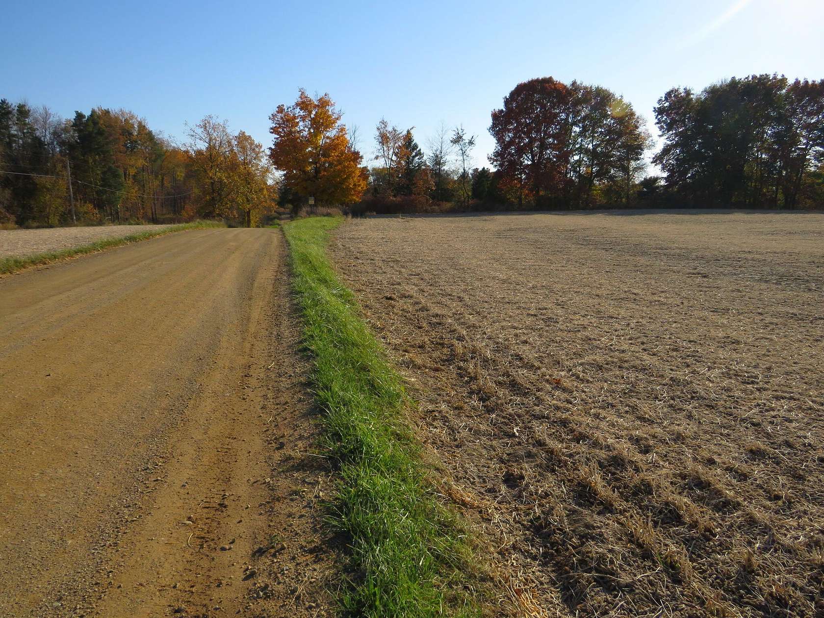 20 Acres of Recreational Land & Farm for Sale in Sunfield, Michigan