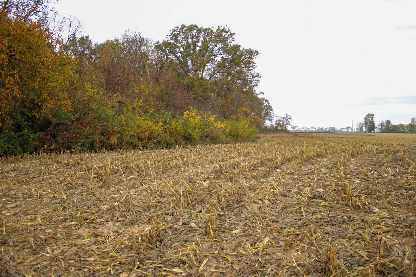 15.22 Acres of Land for Sale in Circleville, Ohio