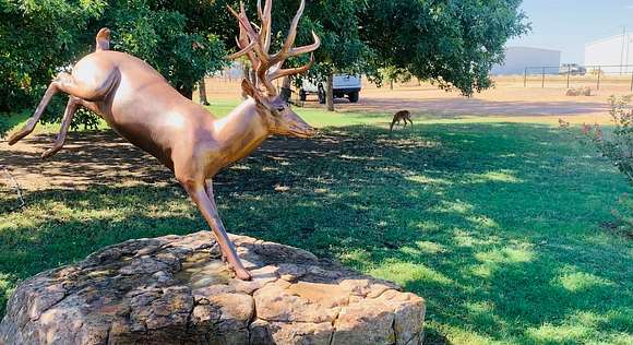 Bronze Sculpture in the front yard