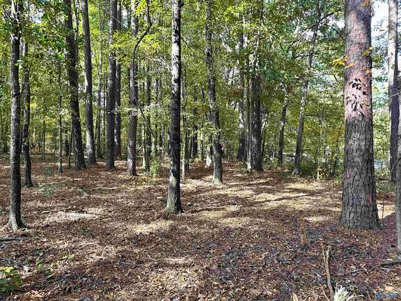 Land for Sale in Gadsden, Alabama