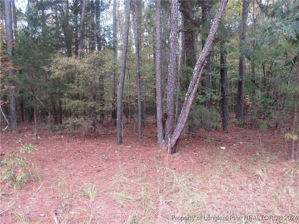 1 Acre of Residential Land for Sale in Sanford, North Carolina