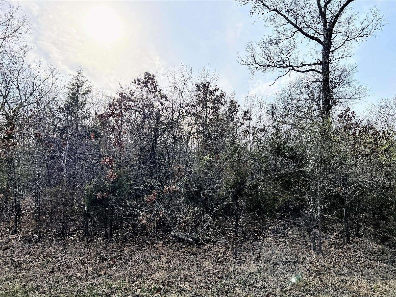 1.53 Acres of Residential Land for Sale in Bonne Terre, Missouri