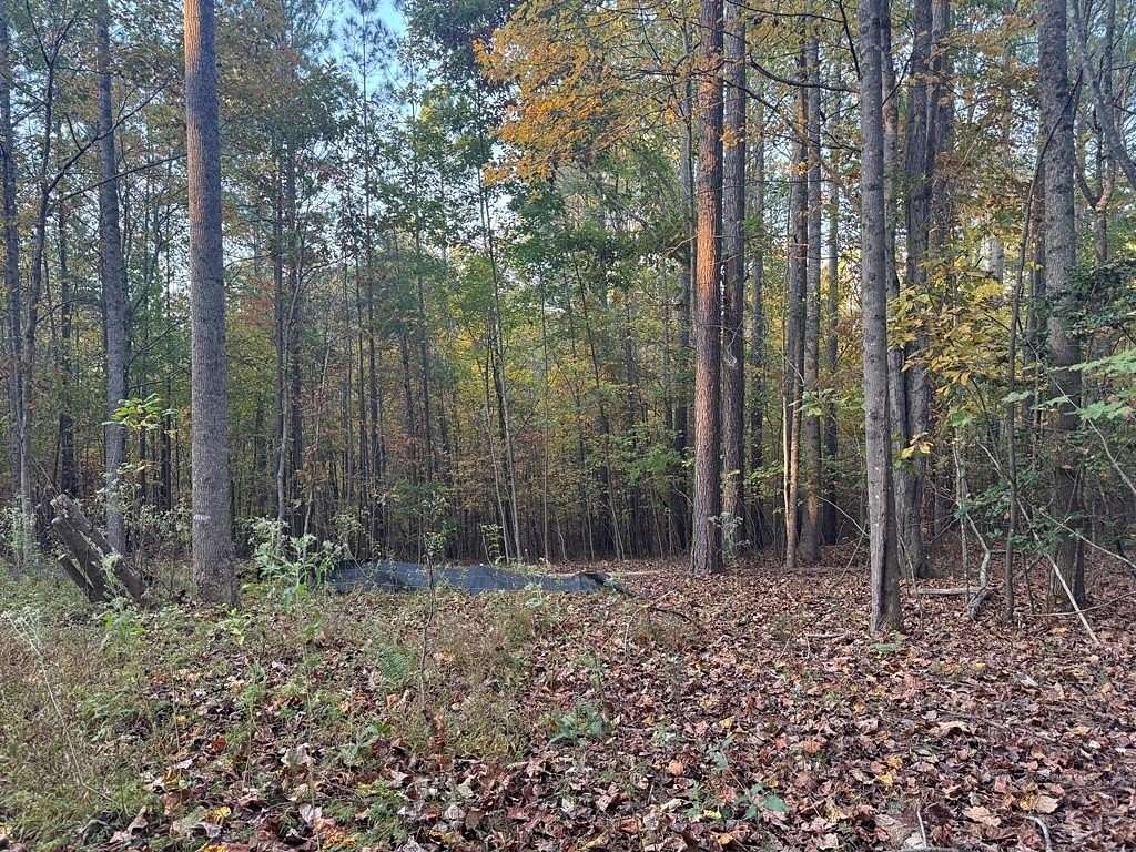 0.793 Acres of Residential Land for Sale in Young Harris, Georgia