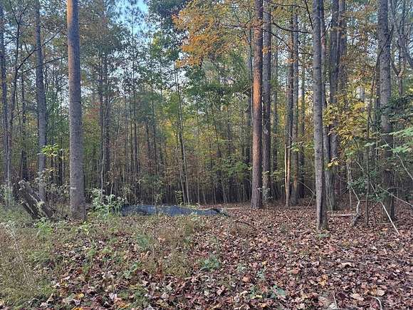 0.793 Acres of Residential Land for Sale in Young Harris, Georgia