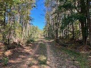 137 Acres of Recreational Land for Sale in Louisville, Mississippi