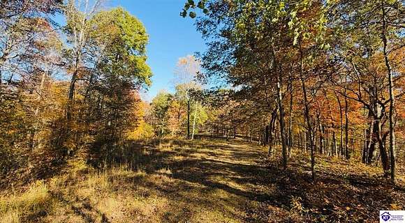 22.26 Acres of Recreational Land for Sale in Mount Sherman, Kentucky