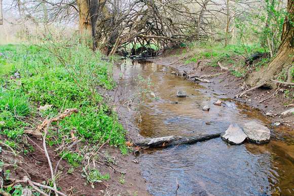 38 Acres of Land for Sale in Walnut Grove, Missouri