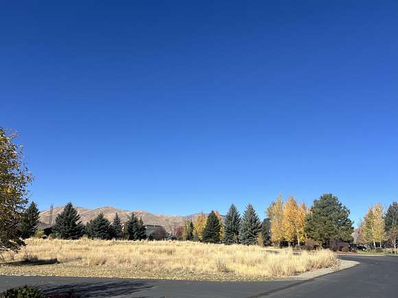 1 Acre of Residential Land for Sale in Hailey, Idaho